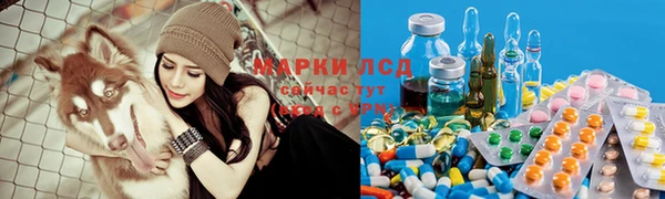 каннабис Магас