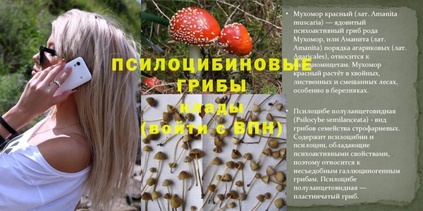 jwh Майский