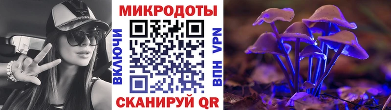 Псилоцибиновые грибы Psilocybine cubensis  Духовщина 